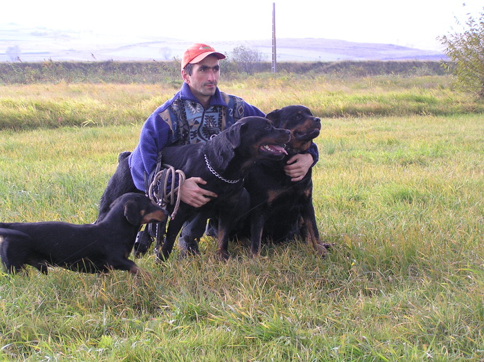 in memory - rottweiler canisa adamsrott