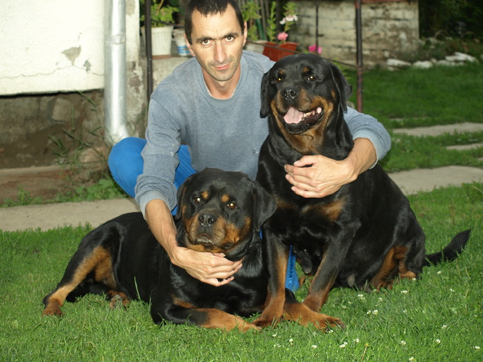  - rottweiler canisa adamsrott