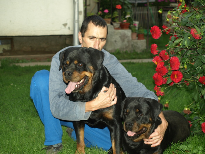 prieteni...... - rottweiler canisa adamsrott