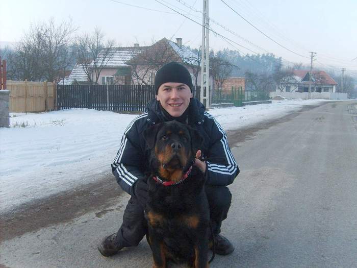 un pui din vitan si diva ivan ivanhause - rottweiler canisa adamsrott