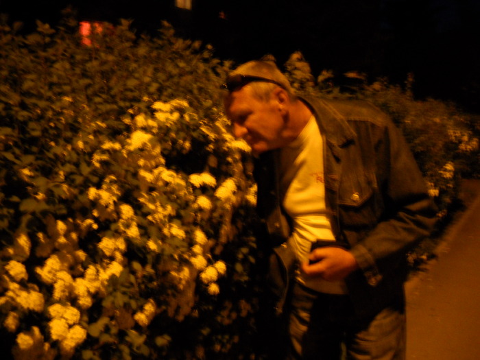 nu miroase, miroase, nu miroase