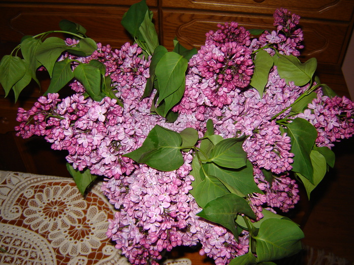 DSC02898 - flori 2010