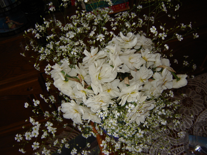 DSC02904 - flori 2010