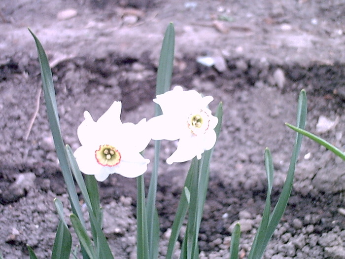 PICT0011