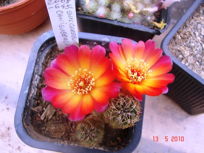 DSC08028