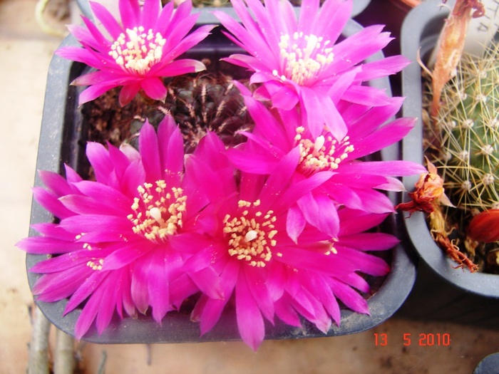 DSC08045