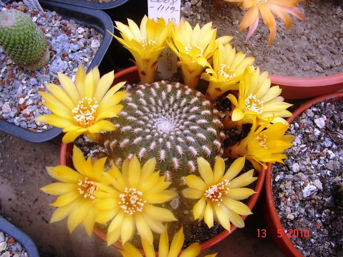 DSC08047