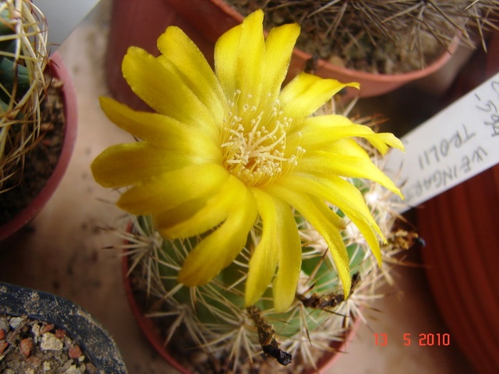 DSC08053