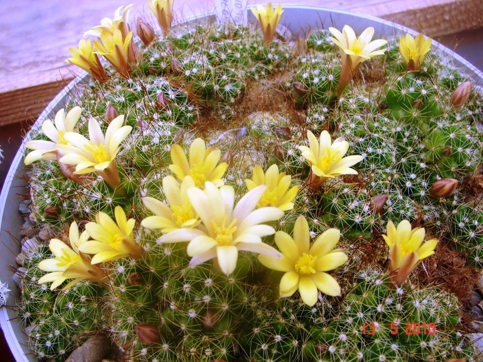 DSC08059
