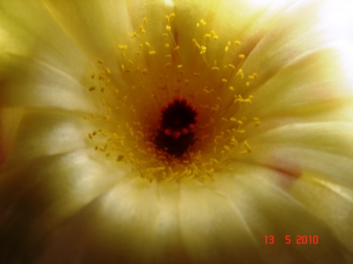 DSC08068