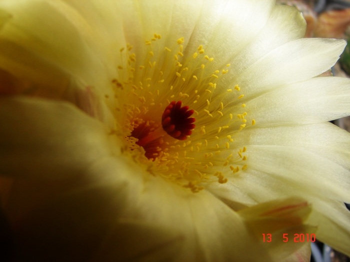DSC08069