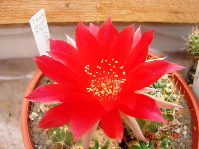 DSC08096
