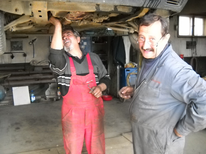 cu gandul la porumbei - clubul bistritean si altele