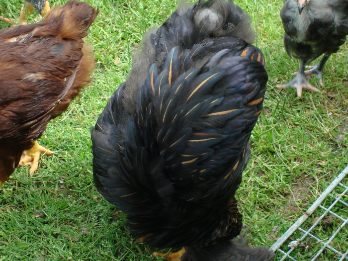 DSC07190