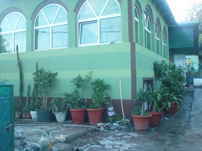 casa verde