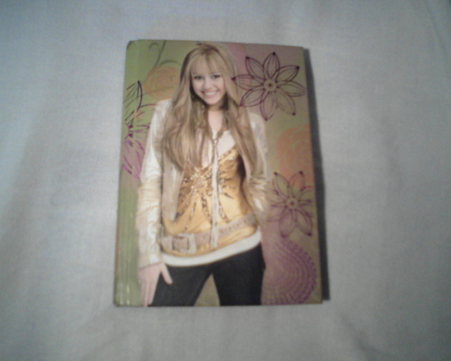 jurnal - lucrurile mele cu hannah montana-miley cyrus