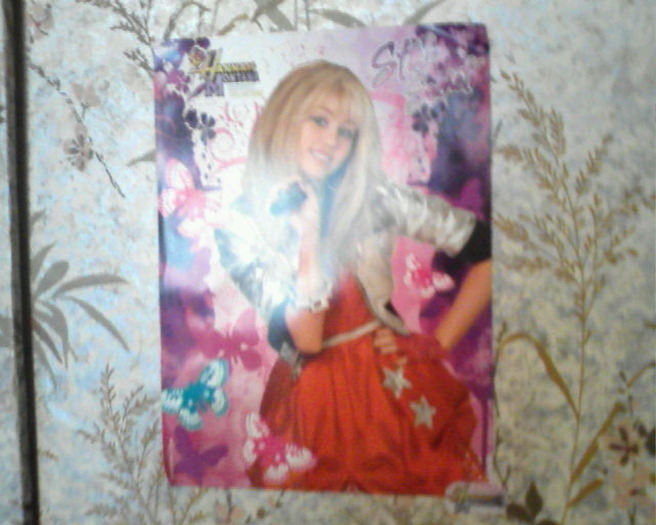 posterul cu hannah 1 - lucrurile mele cu hannah montana-miley cyrus