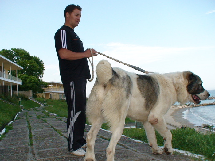 dami drumu e cnv la gard - Zagray