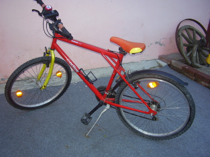 P5140040 - bicicleta mamei
