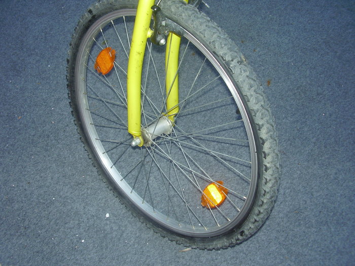 P5140046 - bicicleta mamei