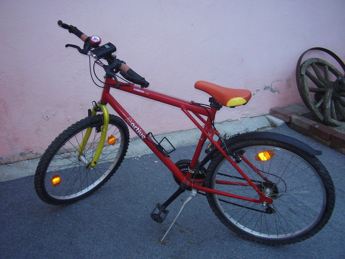 P5140054 - bicicleta mamei