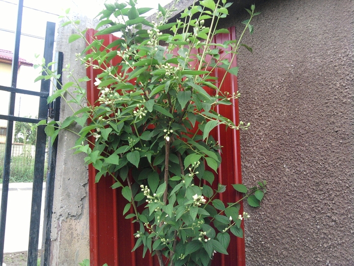SP_A0641 - nu imi mai apartin