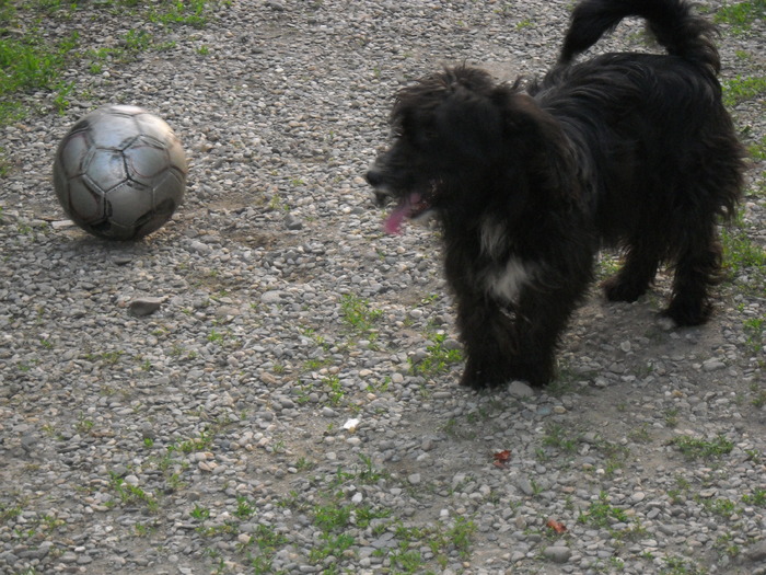 in timpul liber, joc fotbal - paza la cotet