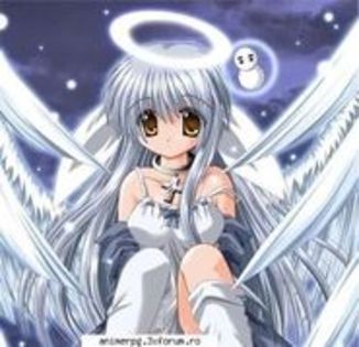 14063061_HCFSUBQIE - aproape toate pozele care le am pe pc