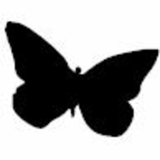 i234205329_1788_2 - Butterlflys