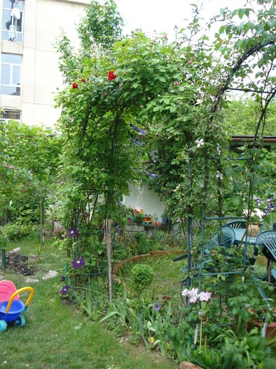 DSC03951