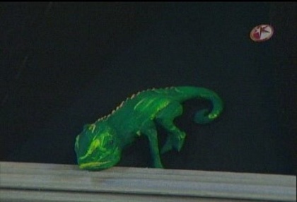 BelindaPhotosCom_Caps_Camaleones_001_(237)