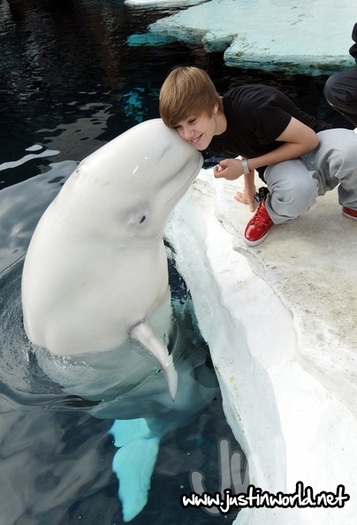  - 0_0 Justin at SeaWorld 0_0