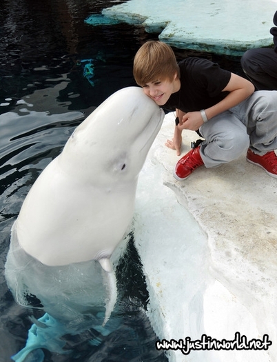  - 0_0 Justin at SeaWorld 0_0