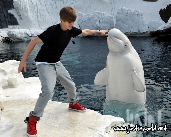  - 0_0 Justin at SeaWorld 0_0