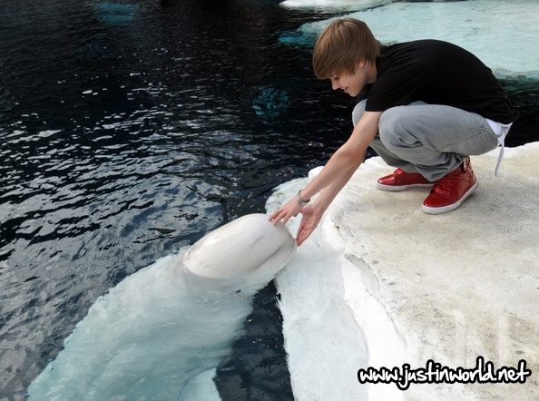  - 0_0 Justin at SeaWorld 0_0