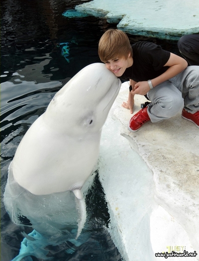  - 0_0 Justin at SeaWorld 0_0