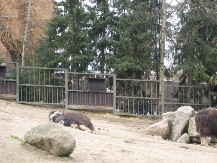 gradina zoologica aprilie dk 029