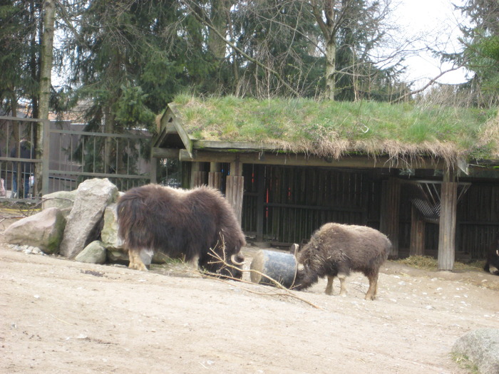 gradina zoologica aprilie dk 030