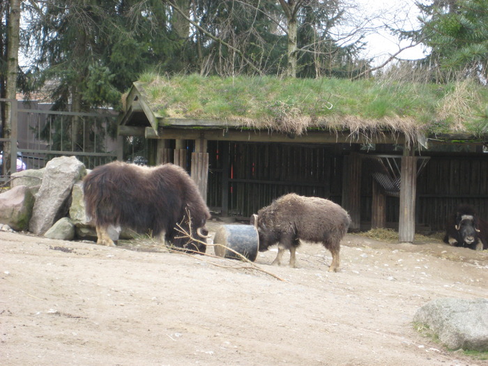 gradina zoologica aprilie dk 031