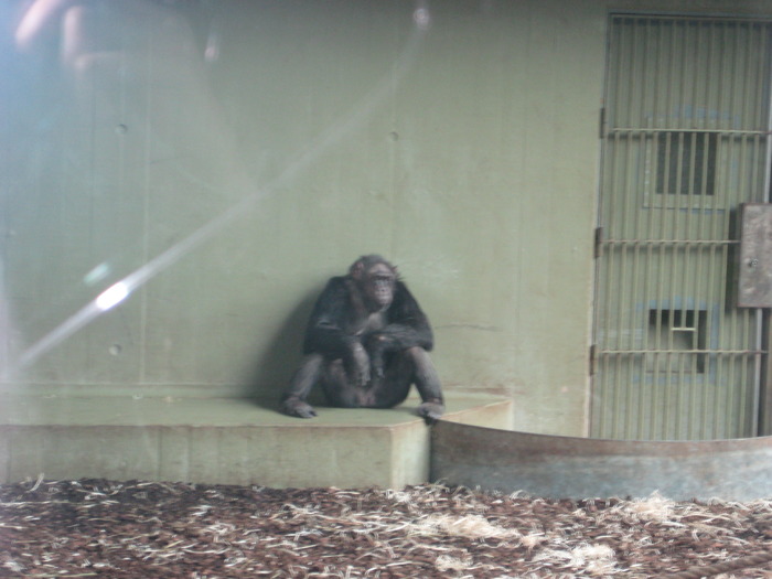 gradina zoologica aprilie dk 055