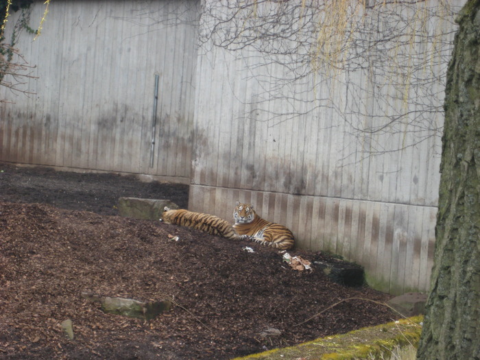 gradina zoologica aprilie dk 056