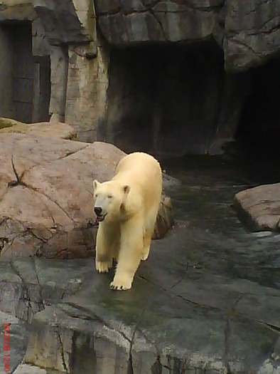zoo telefon 044