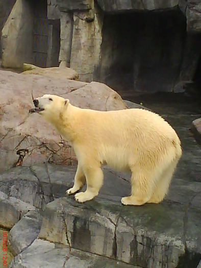 zoo telefon 046