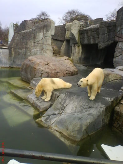 zoo telefon 047