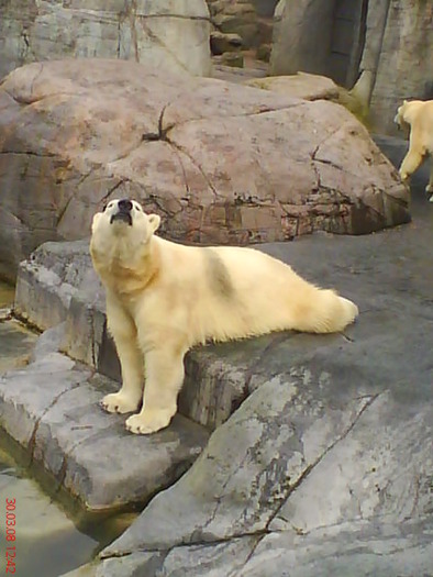 zoo telefon 048