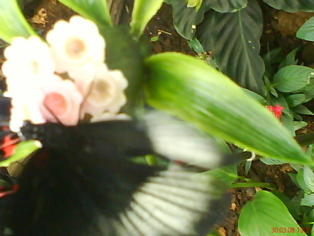 zoo telefon 056