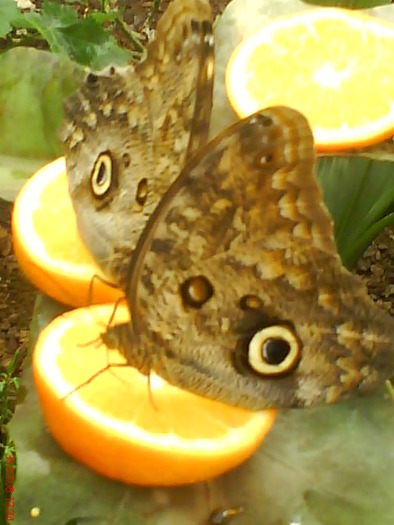 zoo telefon 058