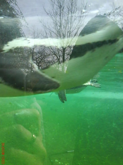 zoo telefon 066 - zoo-copenhaga