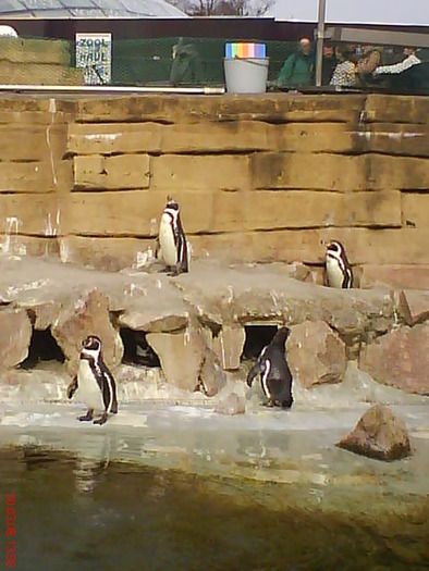 zoo telefon 067