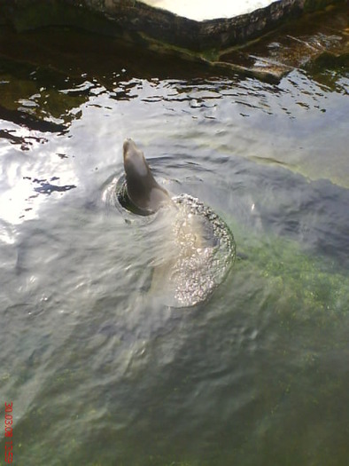 zoo telefon 072 - zoo-copenhaga